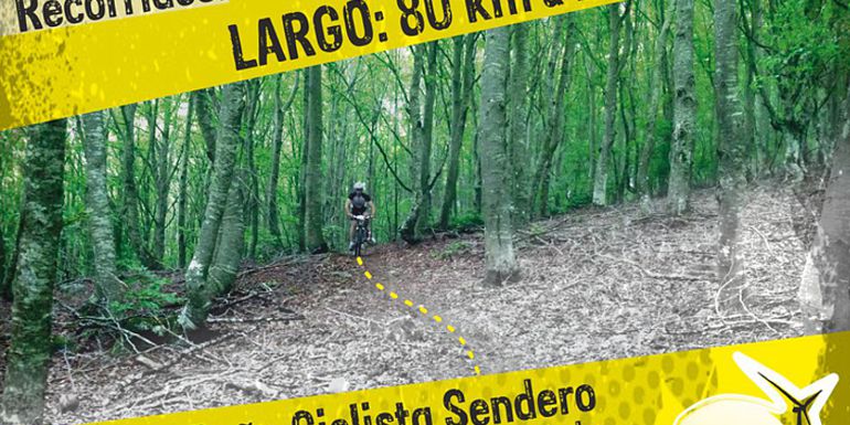 Cartel VI Maratón Hayedos