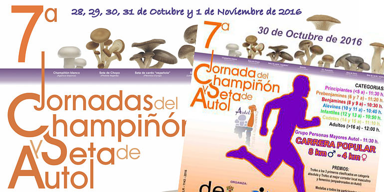 Champiñones y setas