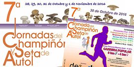 Champiñones y setas